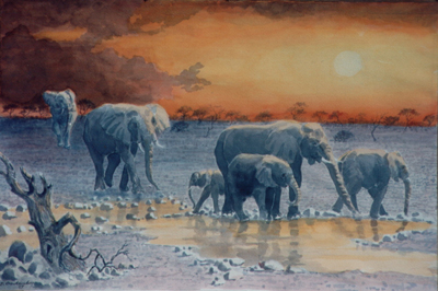 Bild Elefanten im Sonnenuntergang von Uli Aschenborn